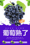 葡萄
