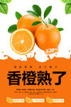 橙子