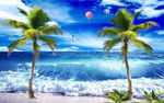 海景椰子树
