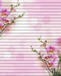 花纹