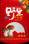 野生菌