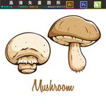 蘑菇