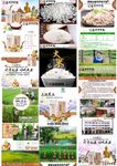 遮放贡米 大米 淘宝 详情图