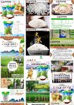 遮放贡米 大米 淘宝 详情图