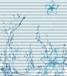 水珠