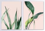 手绘水彩风绿植二联装饰画