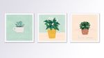 现代手绘小清新盆栽植物风装饰画