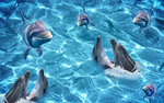 海底世界