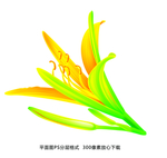 黄花