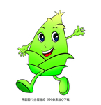 笋