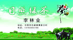 绿茶名片