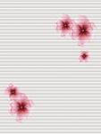 花朵