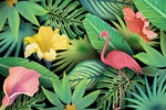 热带 植物 护肤品 化妆品 绿