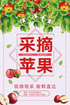 苹果