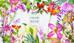 花卉
