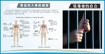毒品损害吸毒自白毒品损害图