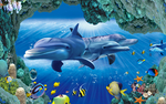 海底世界
