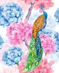 手绘水彩花卉孔雀服装印花图案