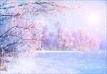 冬雪