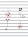 花纹   圈圈