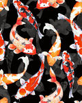 手绘水彩各种鲤鱼服装图案素材