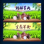 芋头