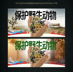 保护野生动物