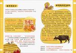 儿童 卡通 宣传册 可爱 手册
