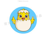 小鸡出壳