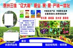 亿大利化肥果肥产销一体化宣传