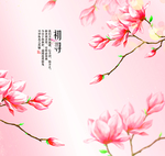 粉色花卉背景