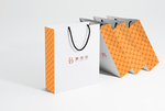 logo手提袋VI效果图