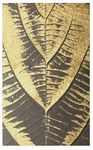北欧金叶子装饰画