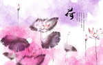 荷花