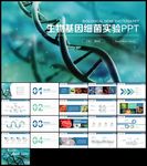 医疗细菌病毒微生物细胞实验