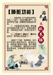 中医 生养肺脏 功能 图片
