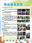 物业服务简报模板