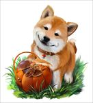狗