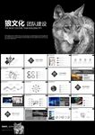 公司企业狼性文化培训团队建设