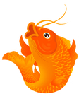 锦鲤