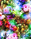 孔雀花