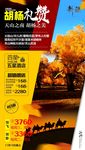新疆胡杨林