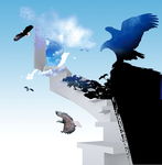 冲上云霄