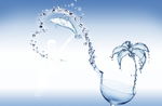 鱼水情