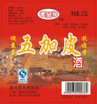 五加皮