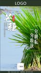 芒种节气