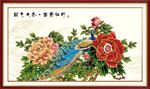 牡丹