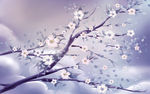 雪中的一枝梅花装饰画