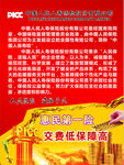 人民保险简介