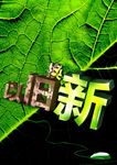 以旧换新